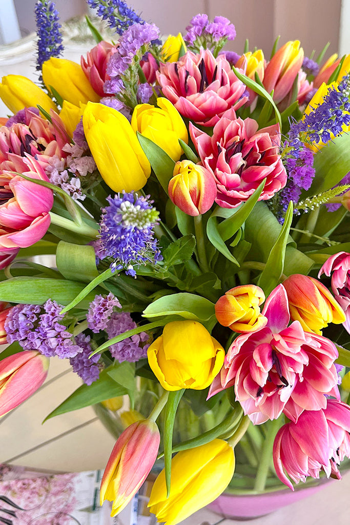 Tulips Jubilee