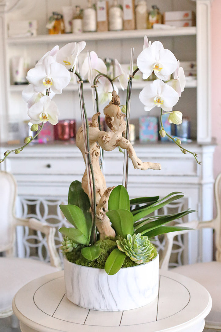Westwood Orchids