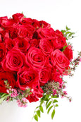 Amore Red Roses