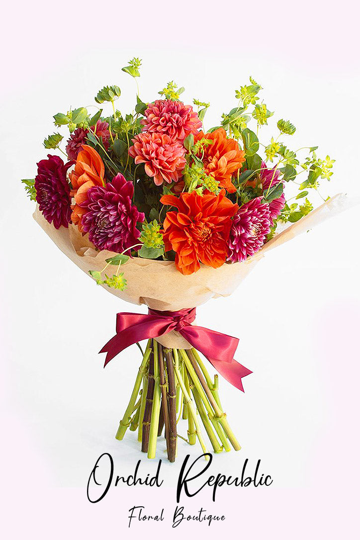 Dahlia Desire