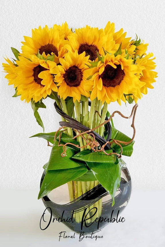 Sunflower Supreme