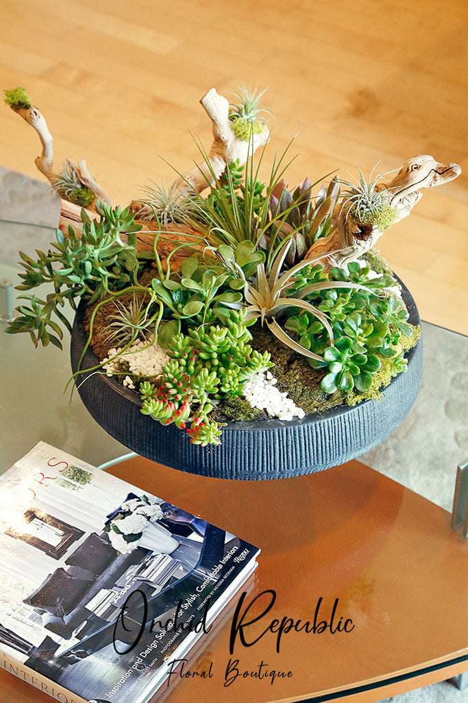 air plant bowl Wood Accent Bowl