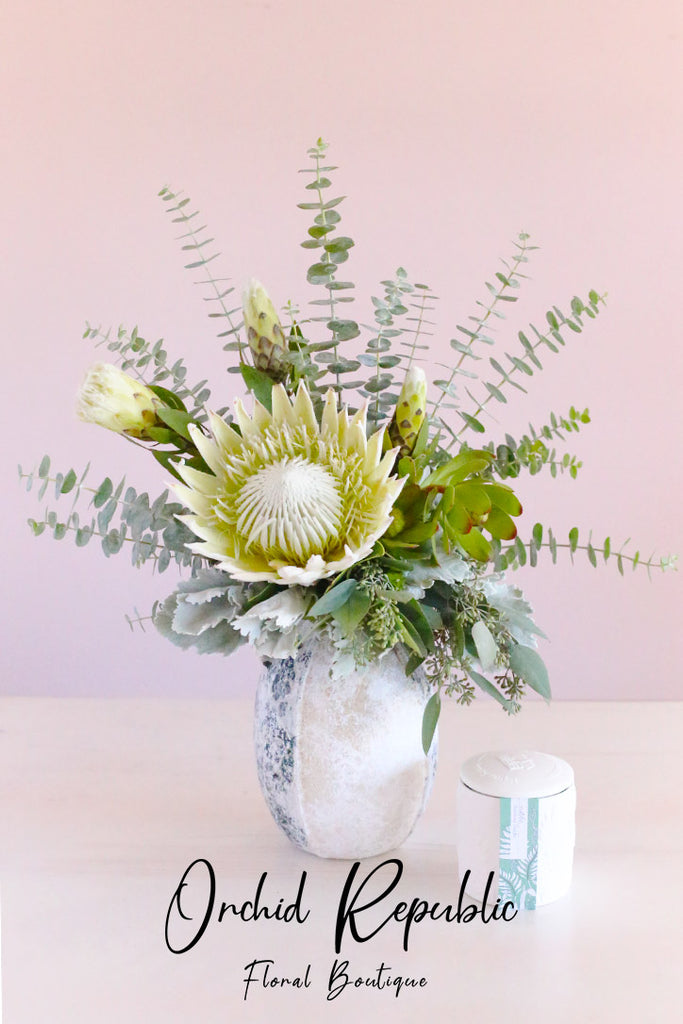 King Protea Supreme