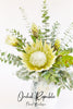 King Protea Supreme