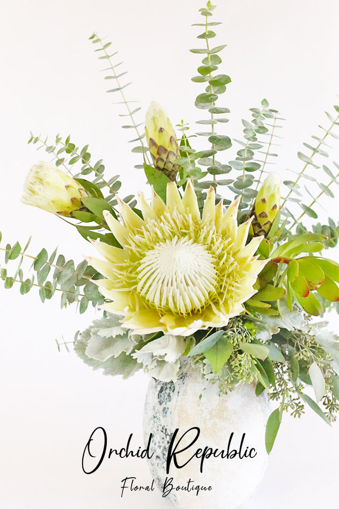 King Protea Supreme