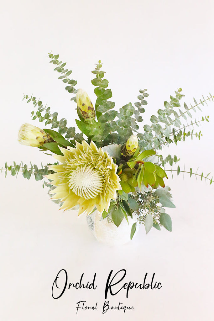 King Protea Supreme