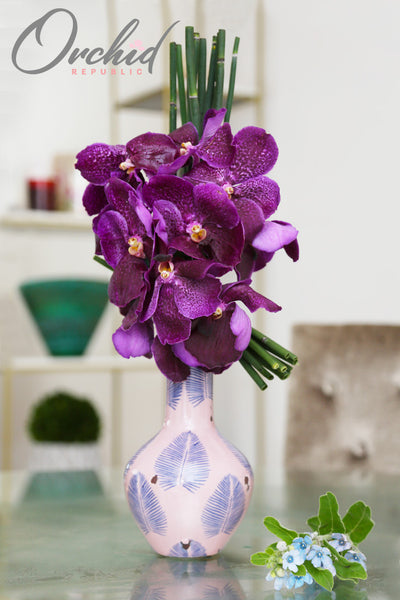 Amethyst Orchids