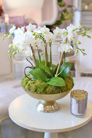 Signature Orchid Experience