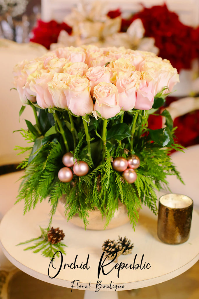 Dasher’s Christmas Roses