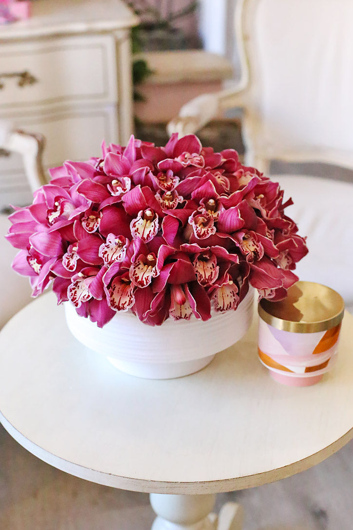 money tree orchid Money Tree Plant – Orchid Republic Floral Boutique