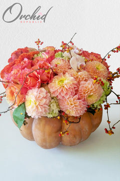 Enchanted Pumpkin Garden