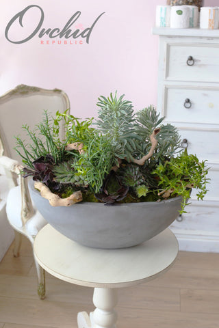 Father's Day Flowers