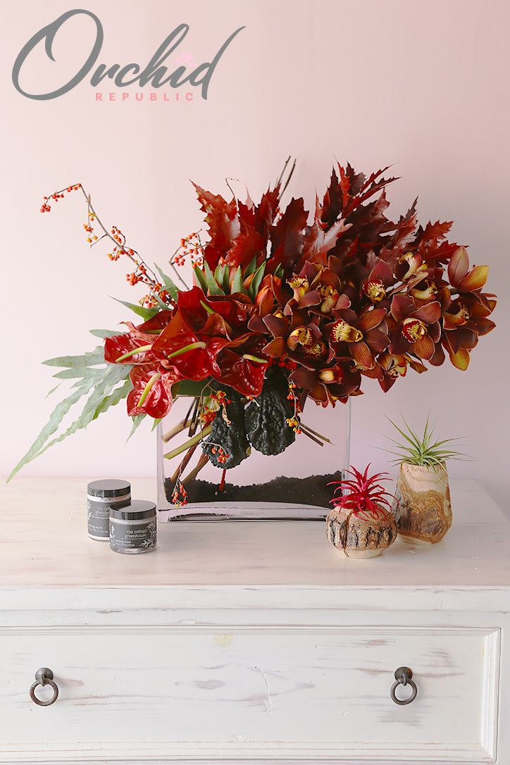 Fiery Fall Flowers