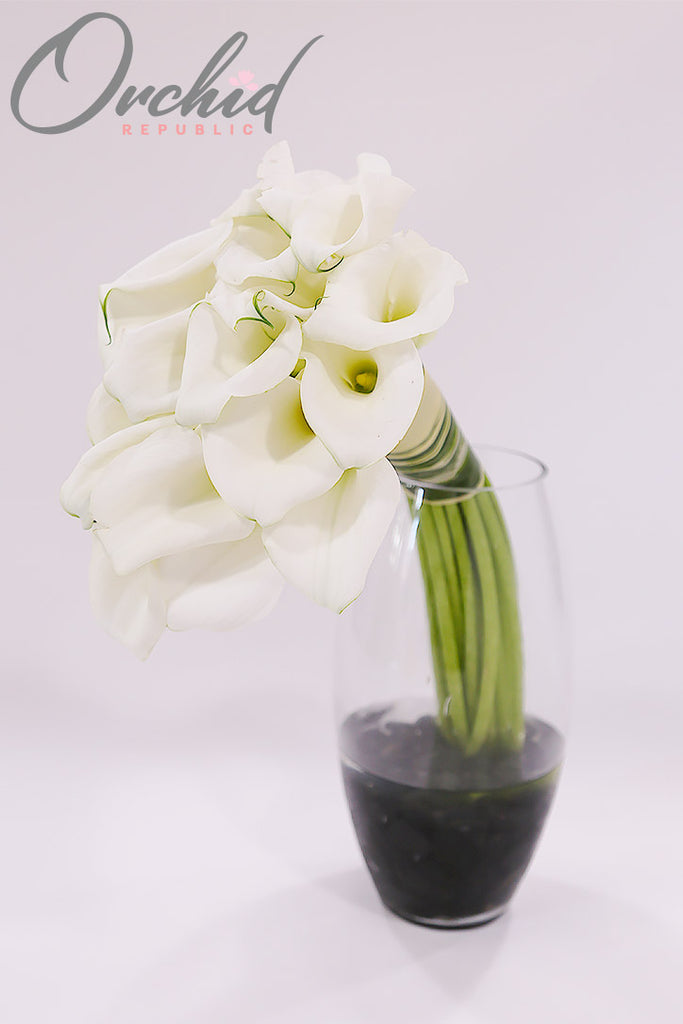 eternity lily's flower shop Eternity Calla-Lily