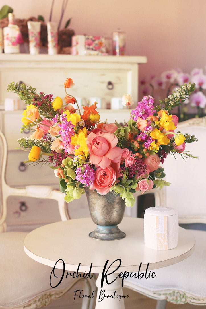 Jupiter’s Paradise