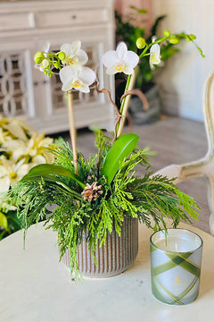 Petite White Christmas