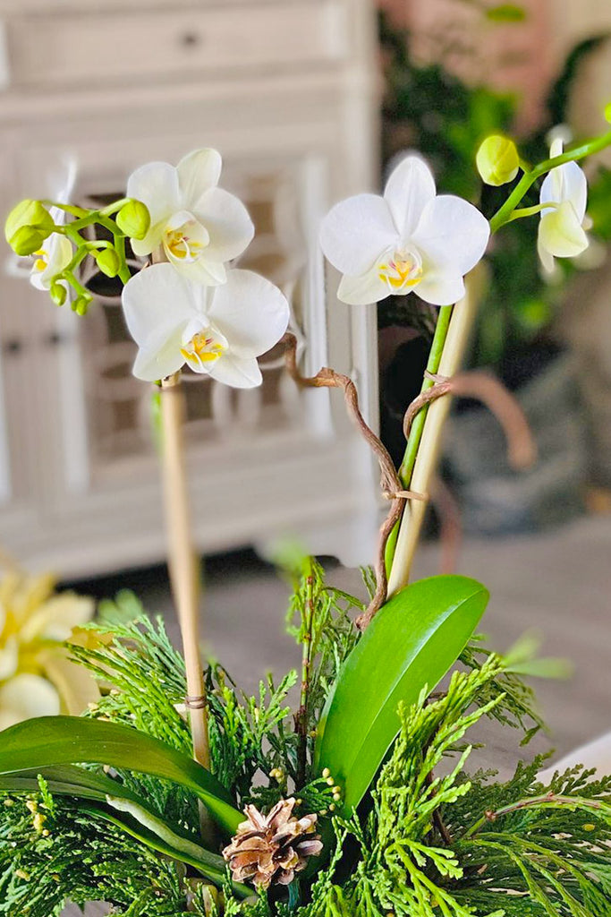 Petite White Christmas