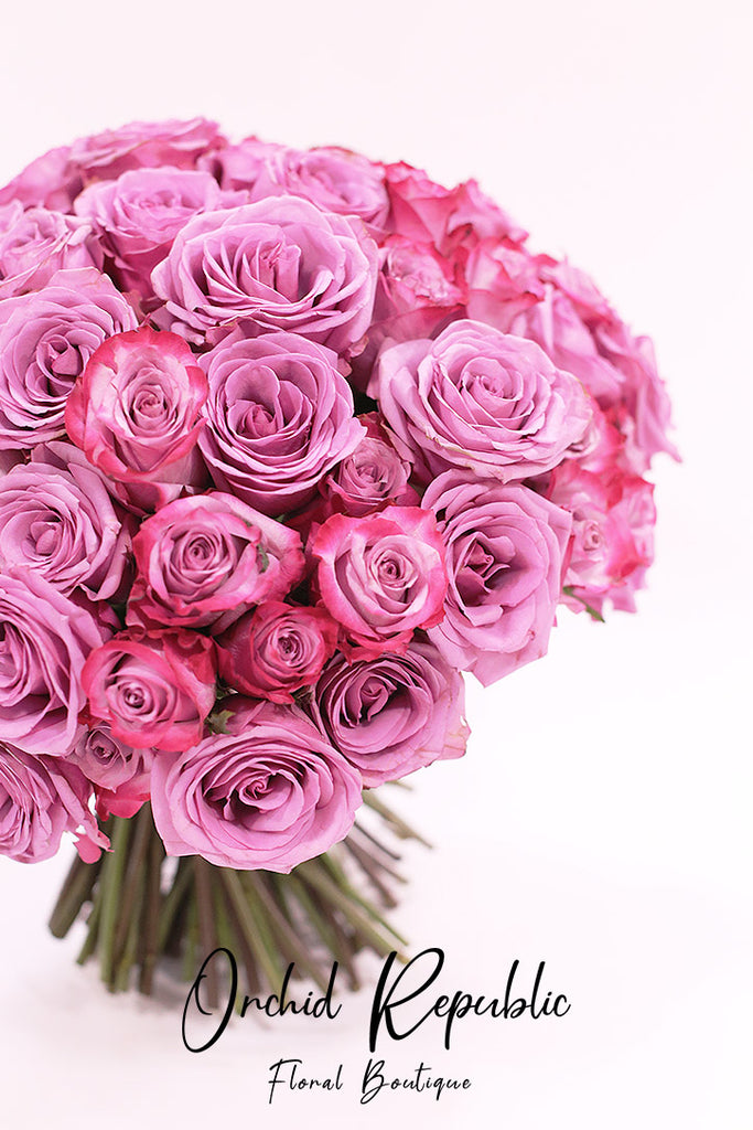 Purple Christmas Roses PURPLE ROSES – Orchid Republic Floral Boutique