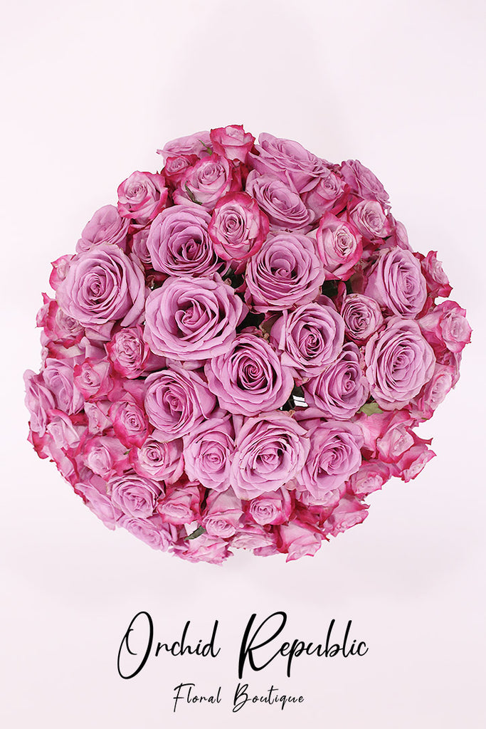 Purple Christmas Roses PURPLE ROSES – Orchid Republic Floral Boutique