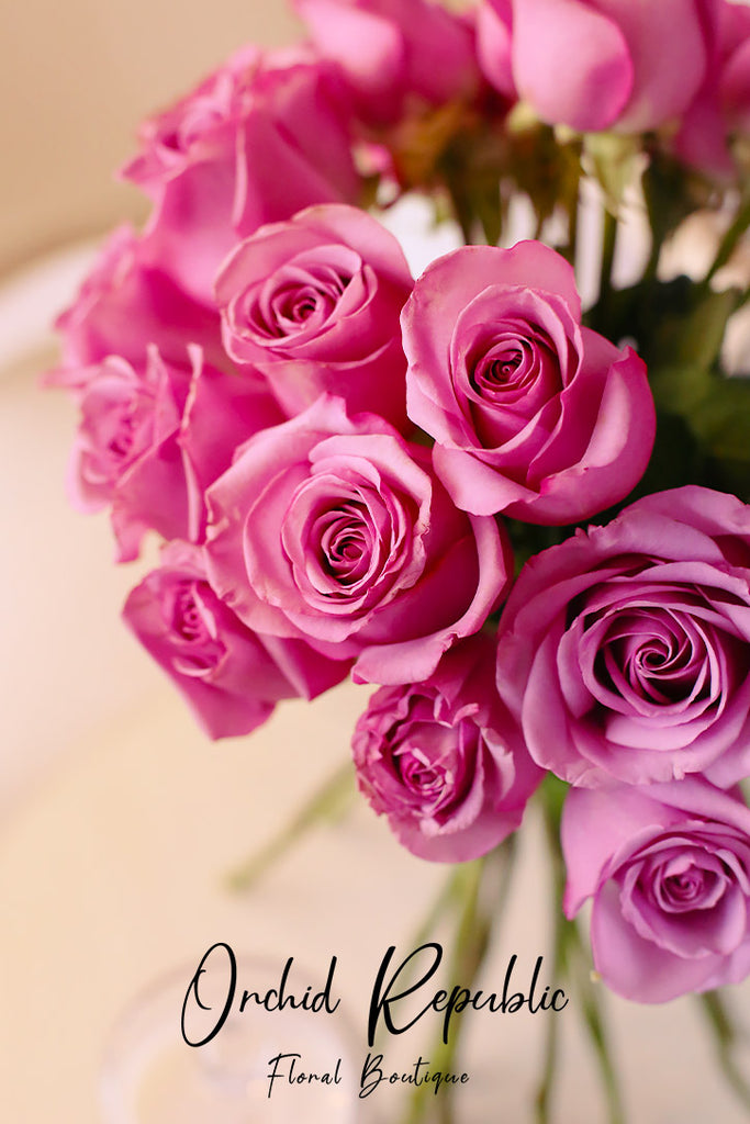 Purple Christmas Roses PURPLE ROSES – Orchid Republic Floral Boutique