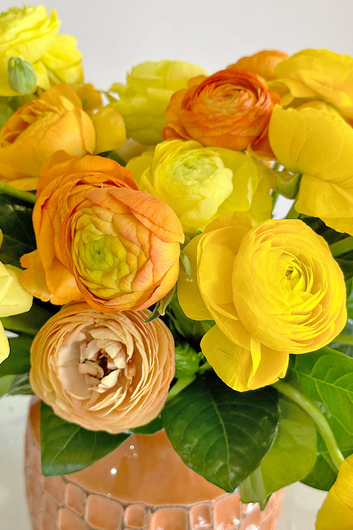 Bright Ranunculus Radiant Ranunculus – Orchid Republic Floral Boutique