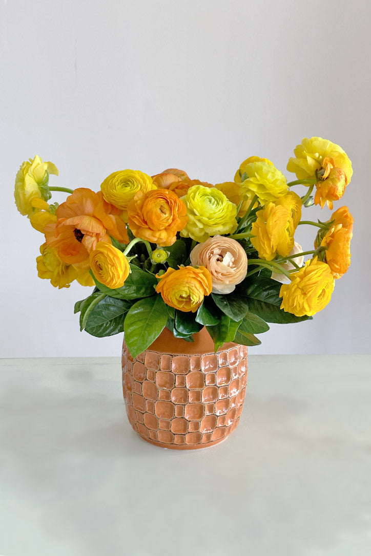 Radiant Ranunculus – Orchid Republic Floral Boutique