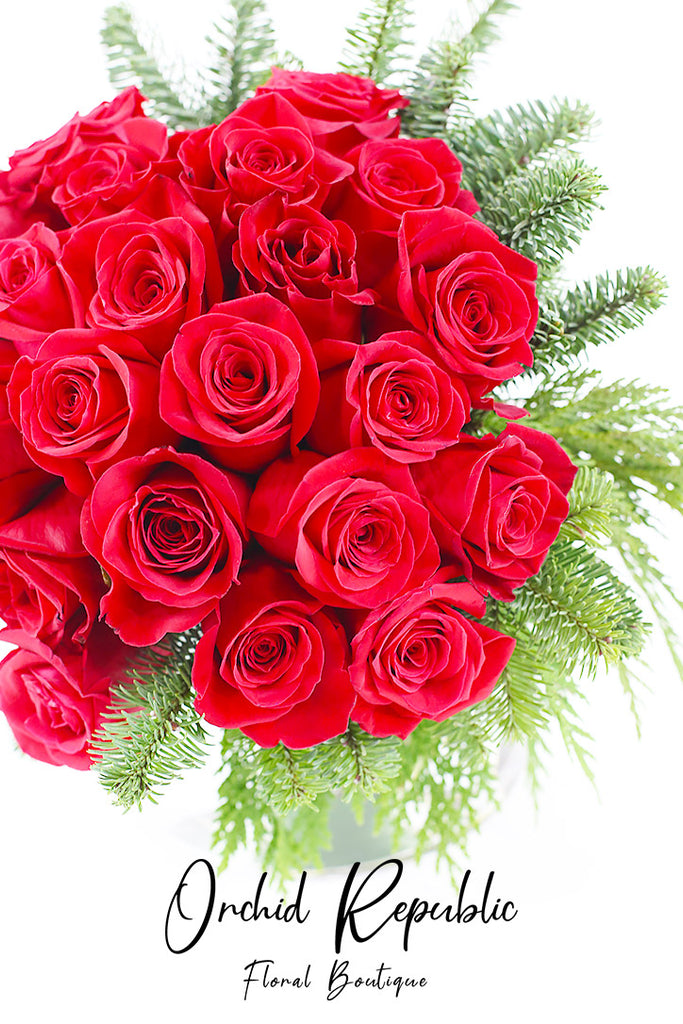 Rudolf’s Red Christmas