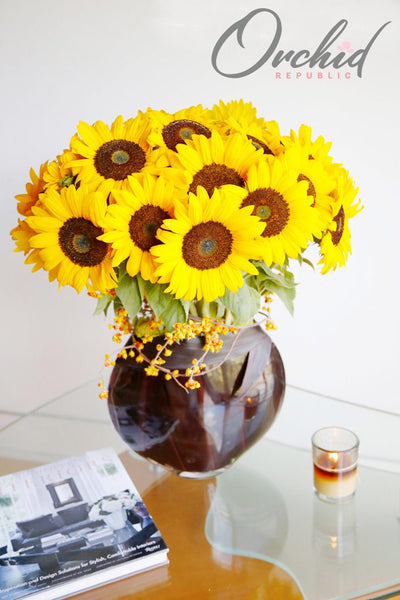 Sleek Sunflower