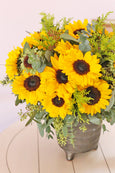 Sunflower Delights