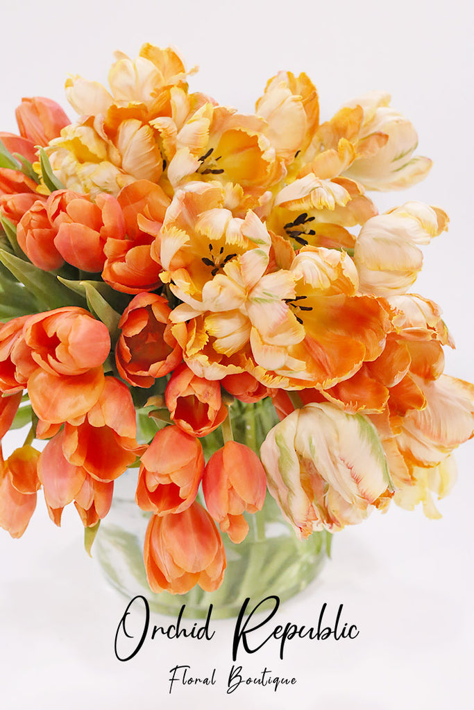 Sunrise Surprise Tulips