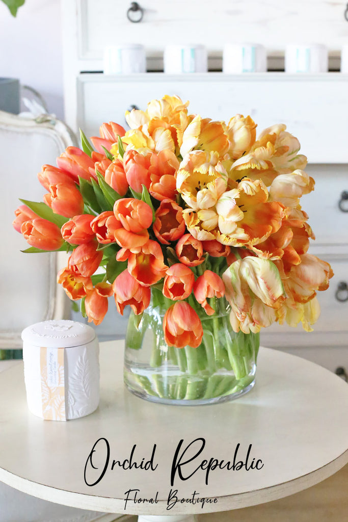 Sunrise Surprise Tulips