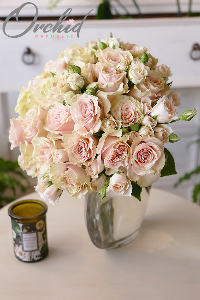 Thinking of You Roses