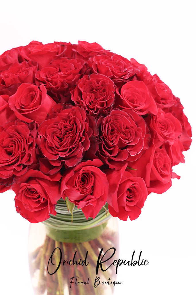 Let’s Fall in Love