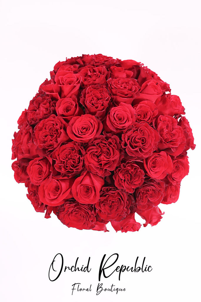 Let’s Fall in Love