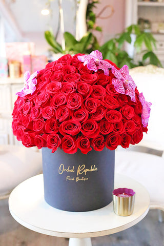 Valentine Collection