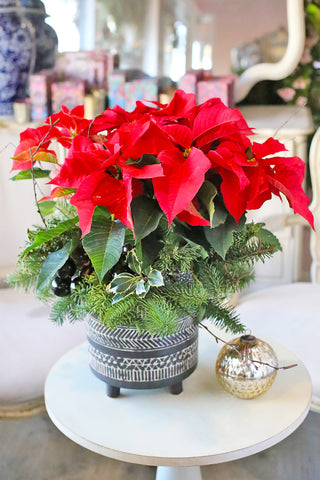 Christmas Arrangements