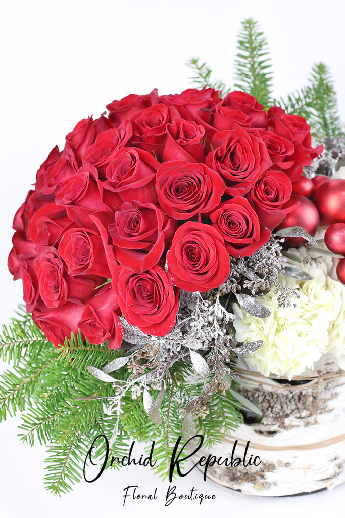 I’ll Be Home for Christmas