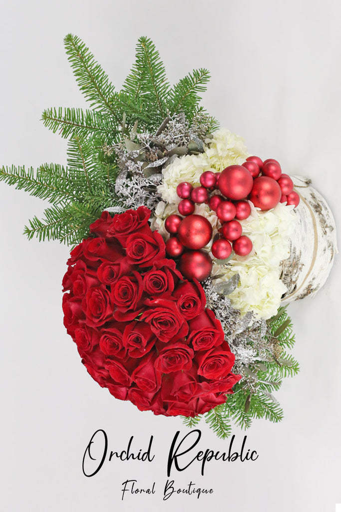 I’ll Be Home for Christmas