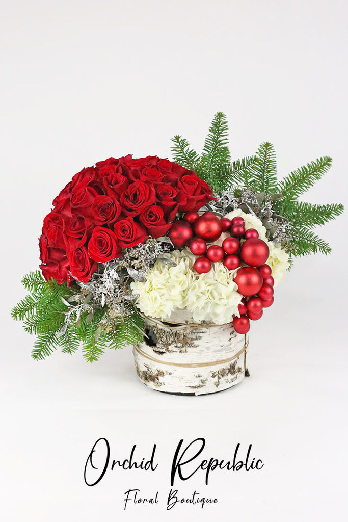 I’ll Be Home for Christmas