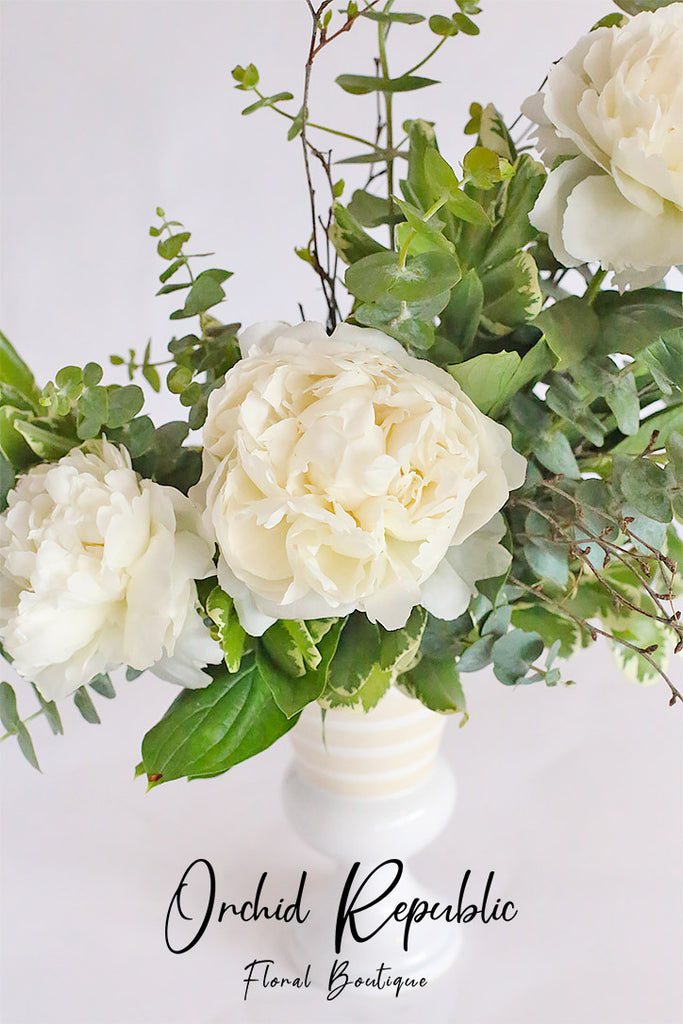 Ivory Peonies