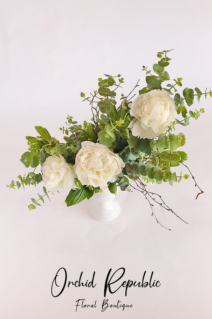 Ivory Peonies