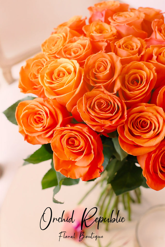 ORANGE ROSES