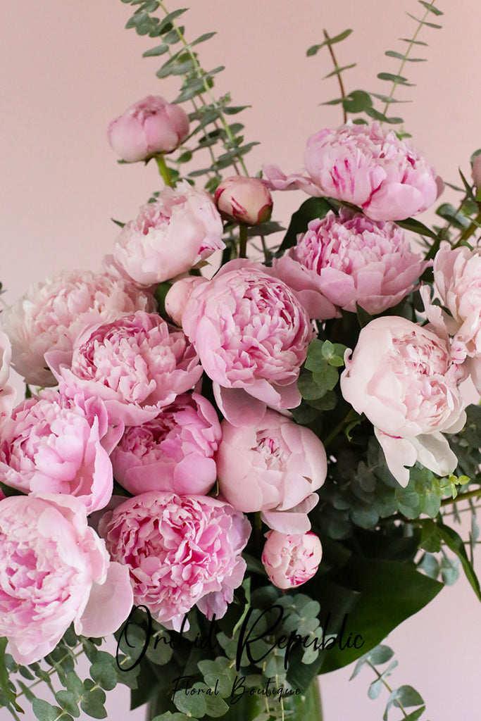 The Perfect Peonies