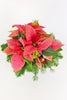 Poinsettia Charm