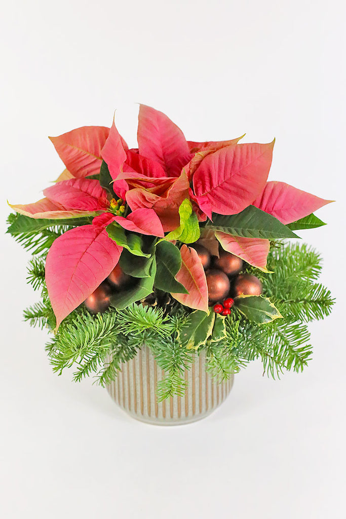 Poinsettia Charm