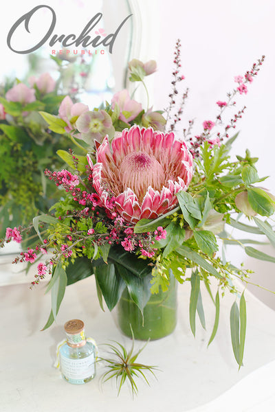 Protea Blooming