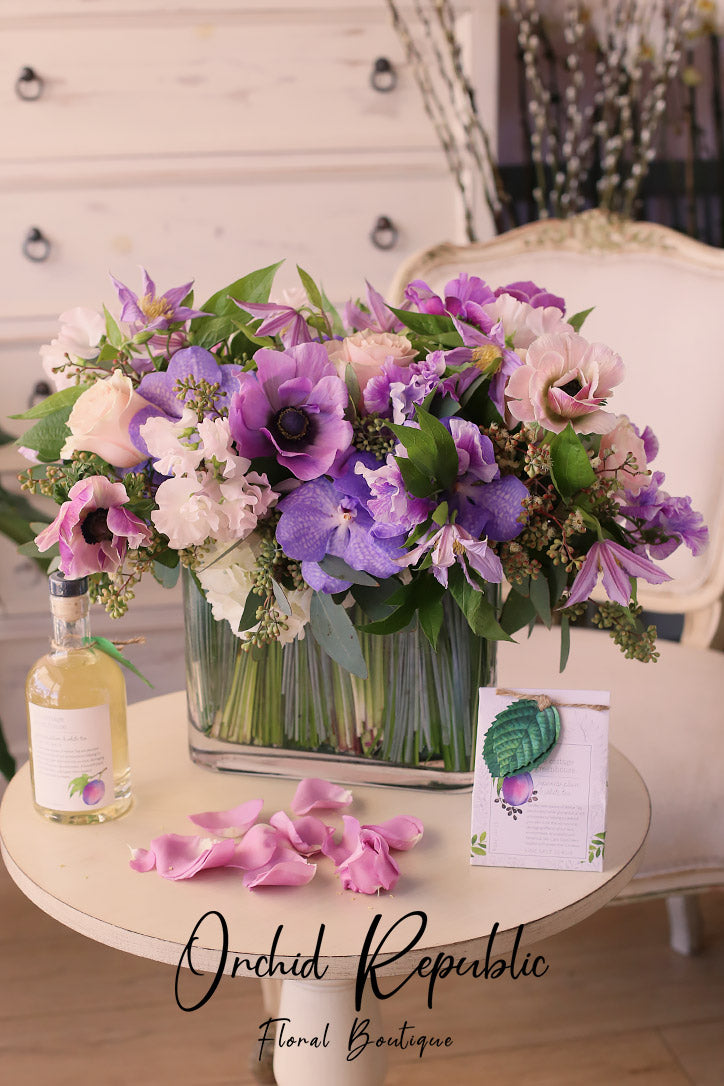 Dreaming of Provence