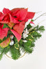 Snow Poinsettia