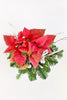 Snow Poinsettia
