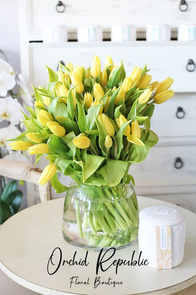 Perfect Tulips